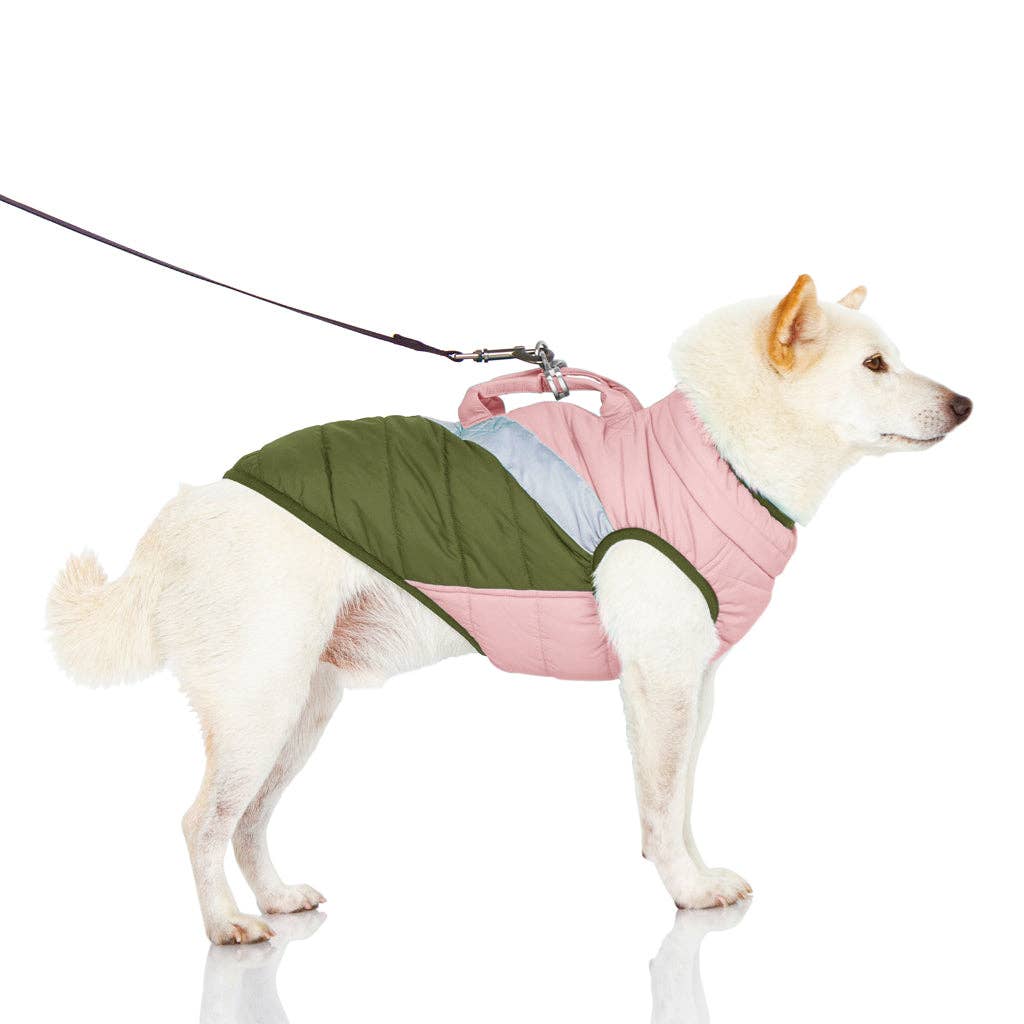 Gooby - Mountaineer Jacket #74211 - Dog.Dog.Cat.