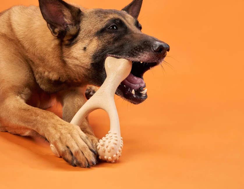 BetterBone Soft Beef and Classic Dog Chew Toy Durable and Safe for All Sizes - Dog.Dog.Cat.