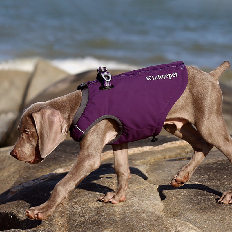 Premium Waterproof Winter Dog Coat YG1871 - Dog.Dog.Cat.