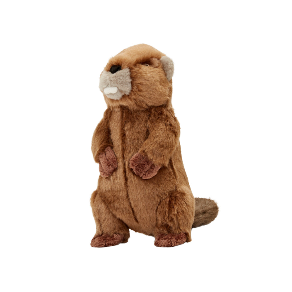 Fluff and Tuff Dog Toy- Troy the Beaver - Dog.Dog.Cat.