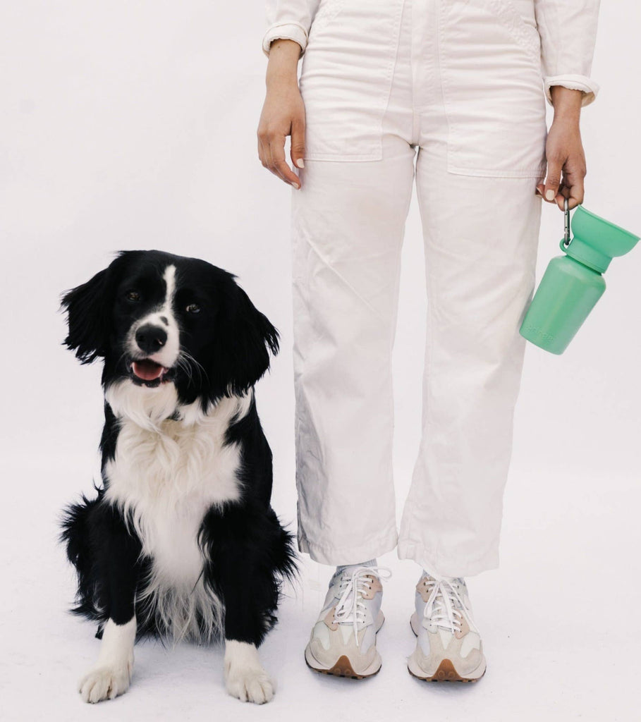 Dog Travel Water Bottle, 20oz, Flip Silicone - Dog.Dog.Cat.