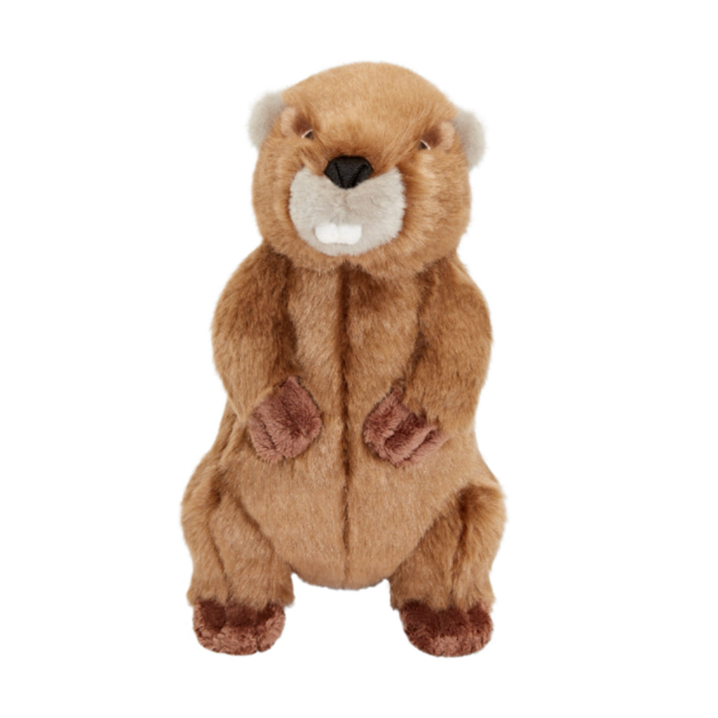 Fluff and Tuff Dog Toy- Troy the Beaver - Dog.Dog.Cat.