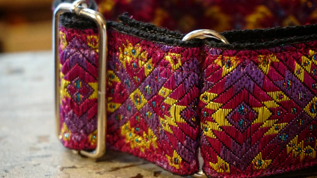 hundsfutter - Extra strong Martingale collar for dogs - Dog.Dog.Cat.