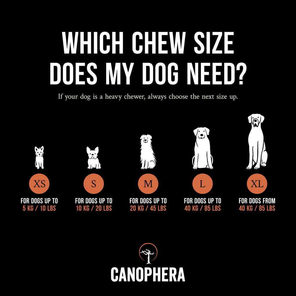 Dog Chew Made of Briar Root. - Dog.Dog.Cat.