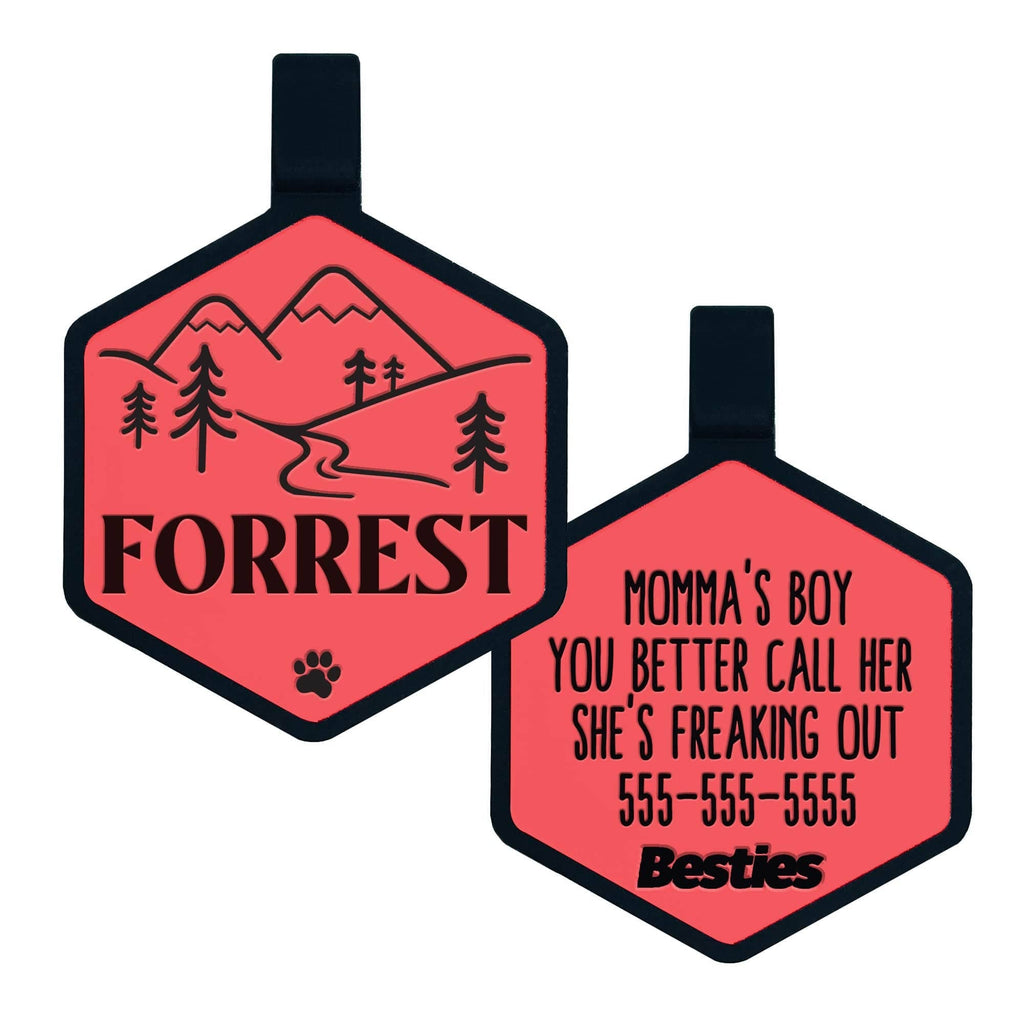 Besties Pets - Mountain Adventure Silicone Dog ID Tag: Sky Blue - Dog.Dog.Cat.