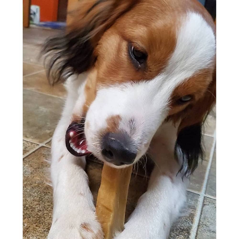 Yeti Chew Mango - Dog.Dog.Cat.