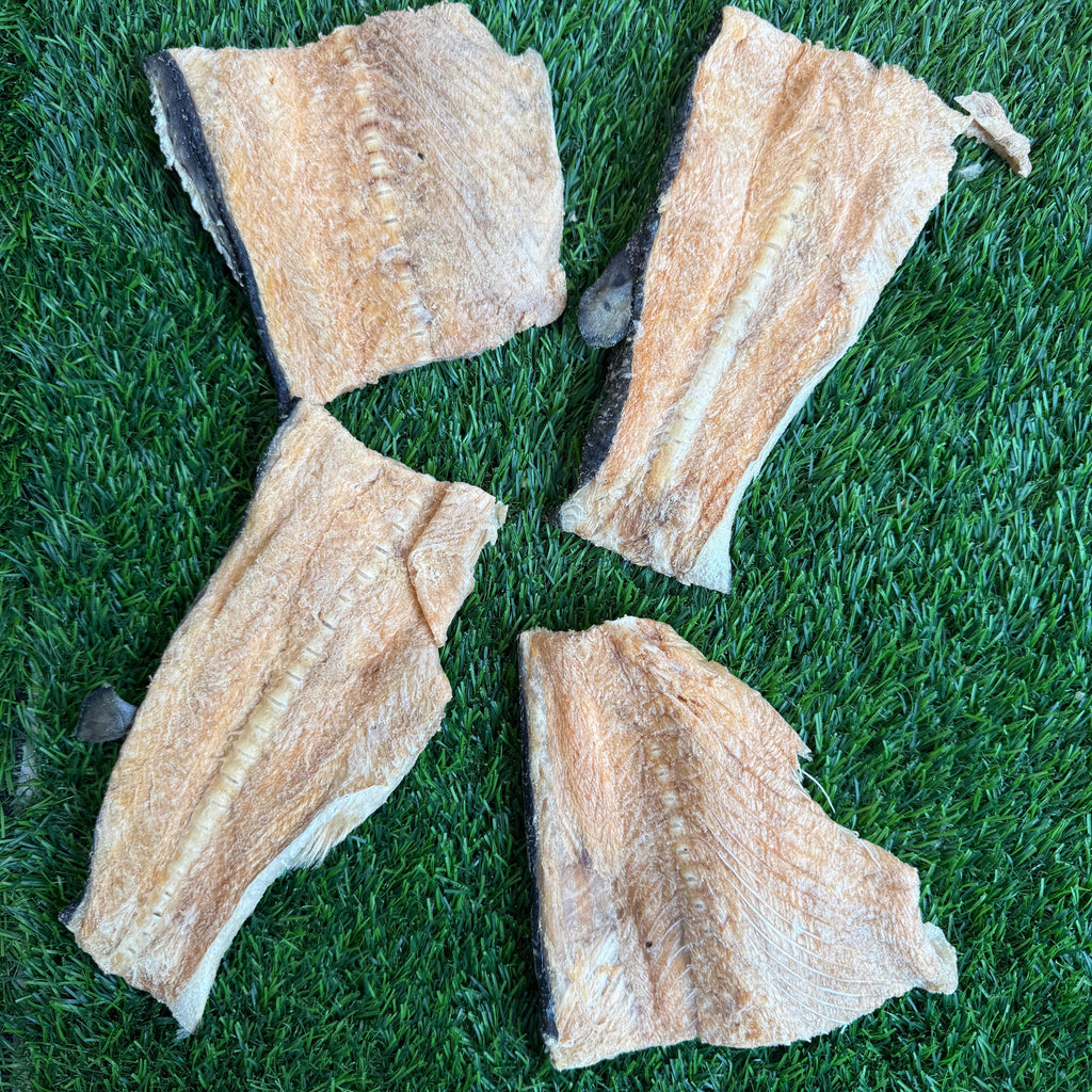 Golden Nibbles - Salmon Backs - Freeze-Dried For Dogs & Cats - Dog.Dog.Cat.