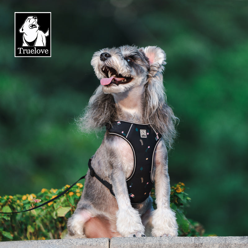 TrueLove Dog Harness and Leash Combination TLH2918 - Dog.Dog.Cat.