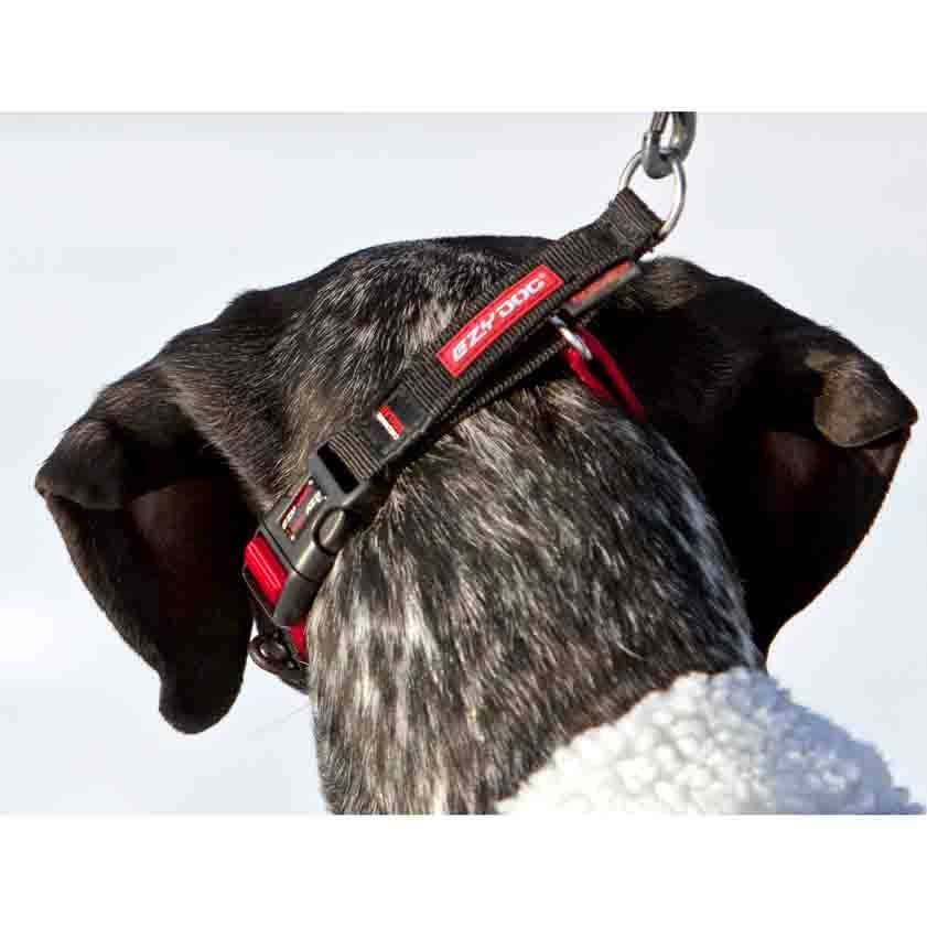 Ezydog Checkmate Collar - Dog.Dog.Cat.
