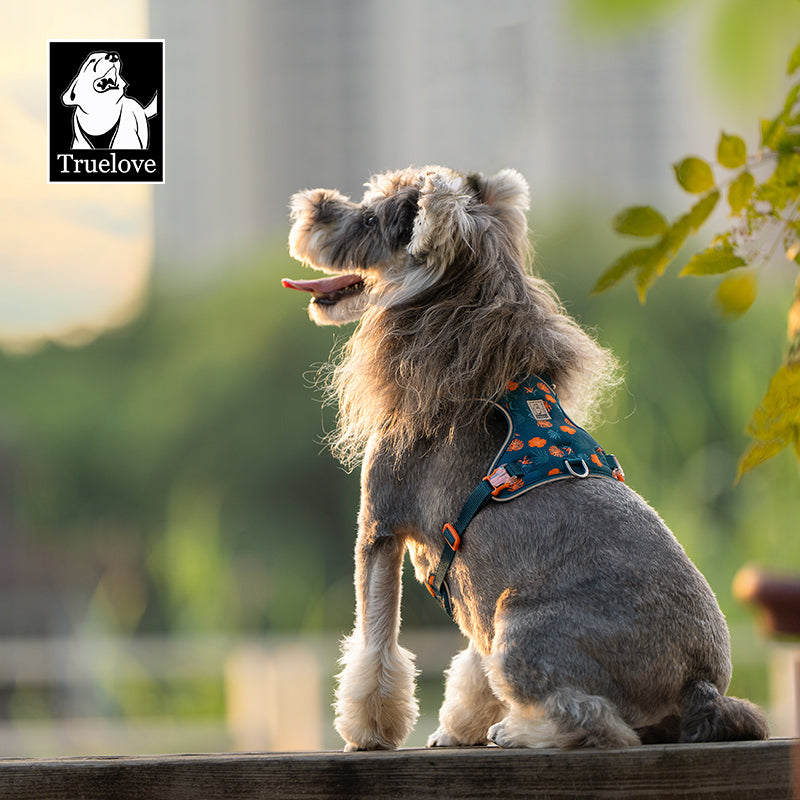 TrueLove Dog Harness and Leash Combination TLH2918 - Dog.Dog.Cat.
