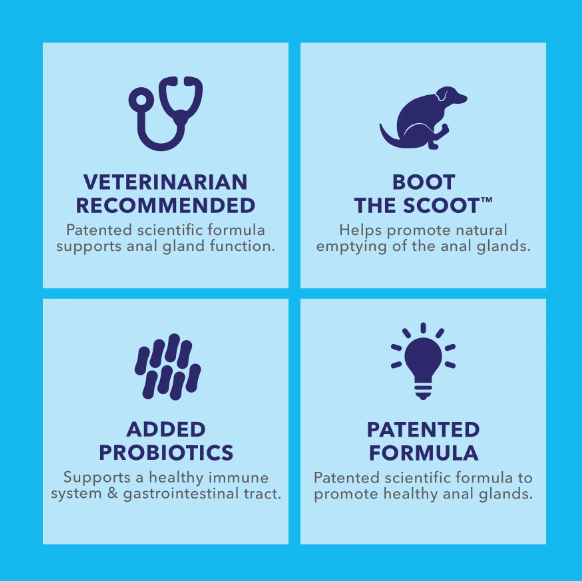 Glandex Anal Gland Support Soft Chews Peanut Butter 30ct - Dog.Dog.Cat.