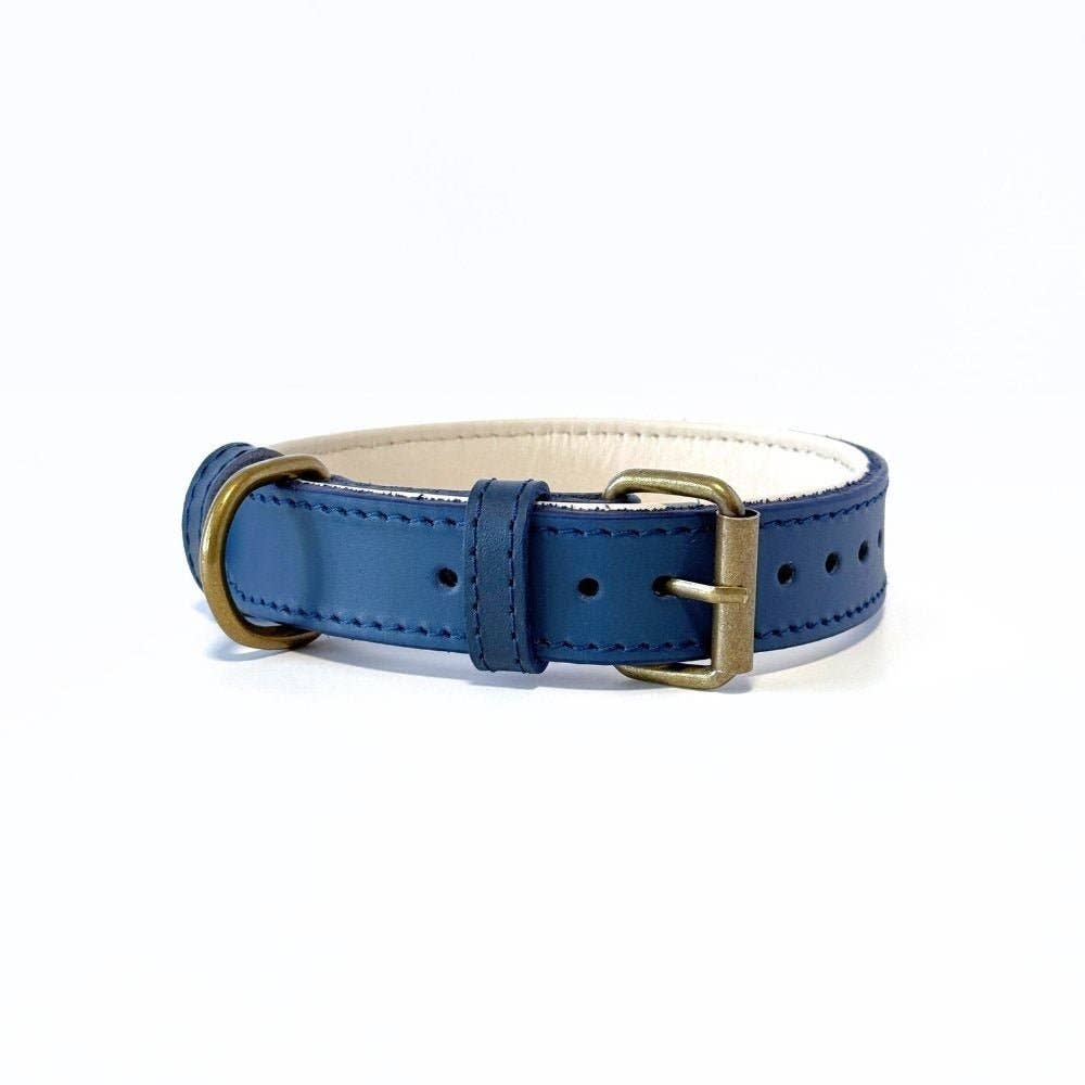 CustomFit – Soft Padded Blue Leather Dog Collar - Dog.Dog.Cat.