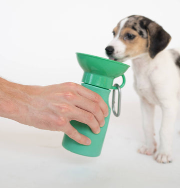 Springer - Dog Travel Water Bottle | Mini 15 oz - Dog.Dog.Cat.