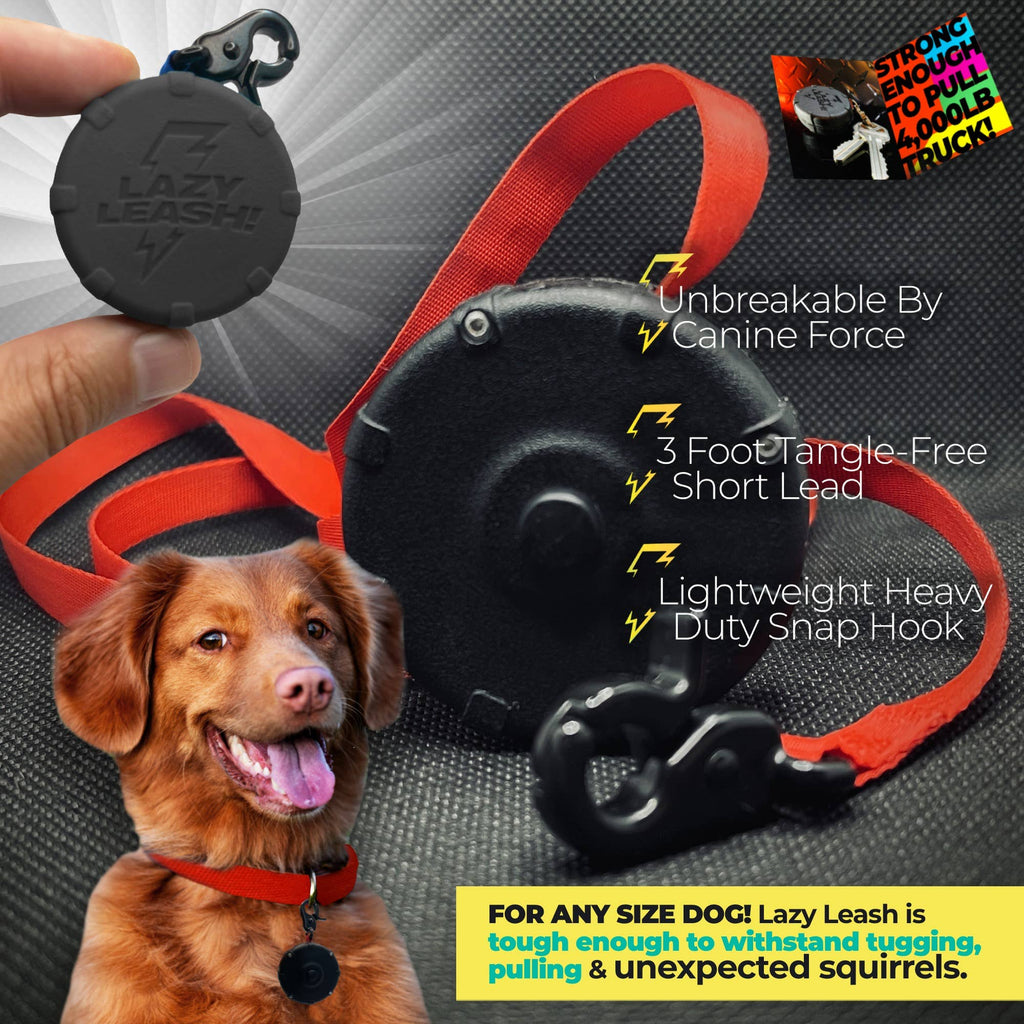 Lazy Leash! - NEW! Lazy Leash! (2pc) Hangers - Pink, Aqua, Gray + Black - Dog.Dog.Cat.