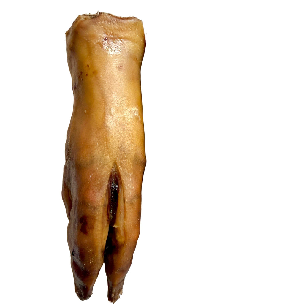 Golden Nibbles - Pork Trotter/Pig Foot - 8-9 in - Long Lasting Chew For Dogs - Dog.Dog.Cat.