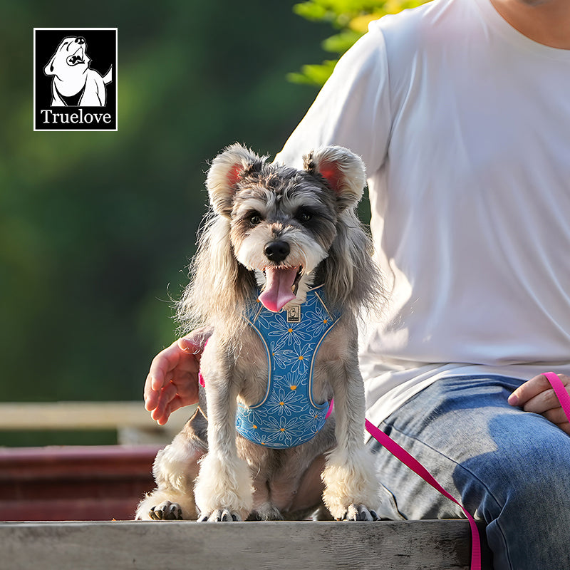 TrueLove Dog Harness and Leash Combination TLH2918 - Dog.Dog.Cat.