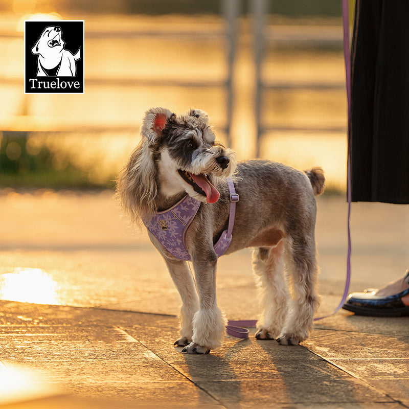 TrueLove Dog Harness and Leash Combination TLH2918 - Dog.Dog.Cat.