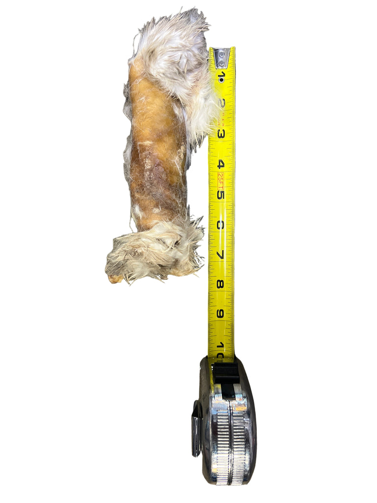 Rabbit Rolls - Dog.Dog.Cat.