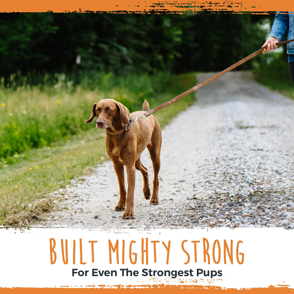 Mighty Paw - Leather Dog Leash (Distressed) - Dog.Dog.Cat.