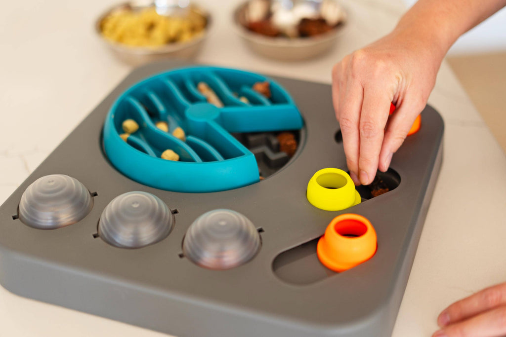 Messy Mutts Flip'n Slide Puzzler, Medium, 12.5" x 12.5",Grey - Dog.Dog.Cat.