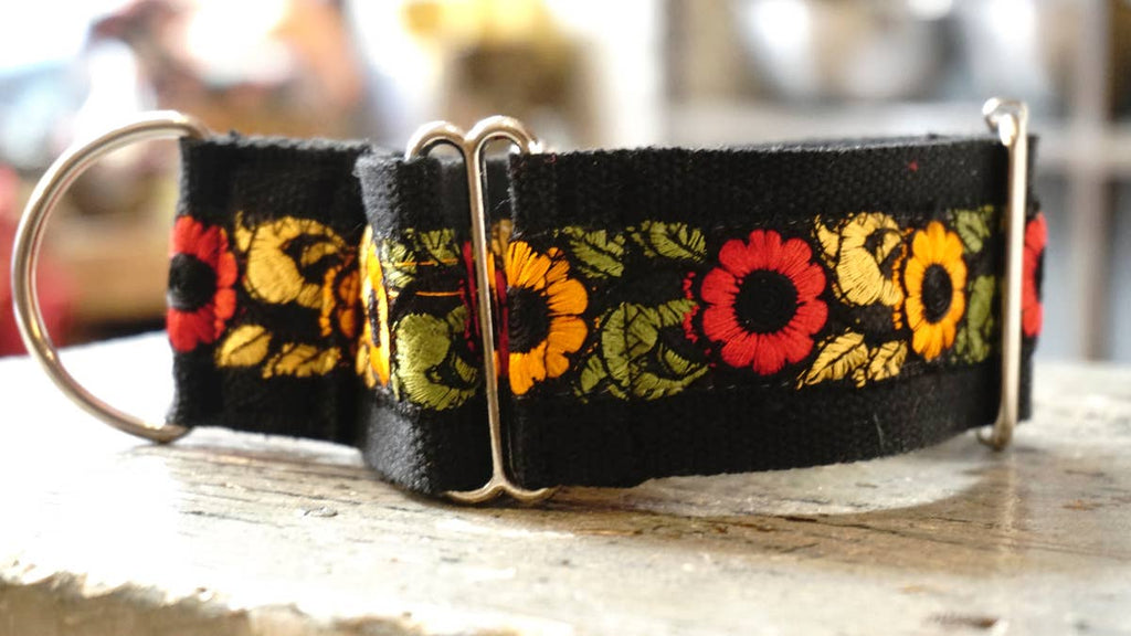 hundsfutter - Wide collar anti escape design - Dog.Dog.Cat.