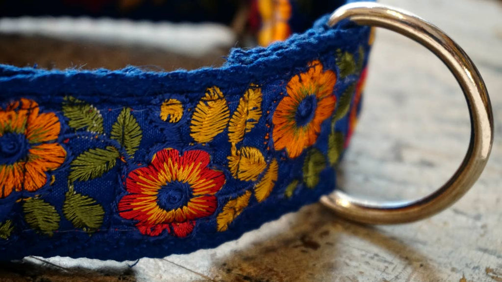 hundsfutter - “Summertime” wide collar for large and medium dogs - Dog.Dog.Cat.