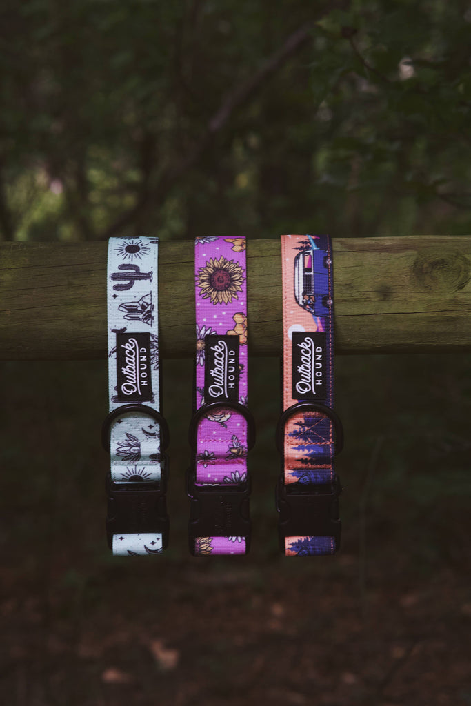 Agave Dog Collar - Dog.Dog.Cat.