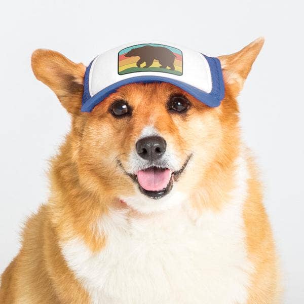 Bear Standard Lake Tahoe | Trucker Hat for Dogs - Dog.Dog.Cat.