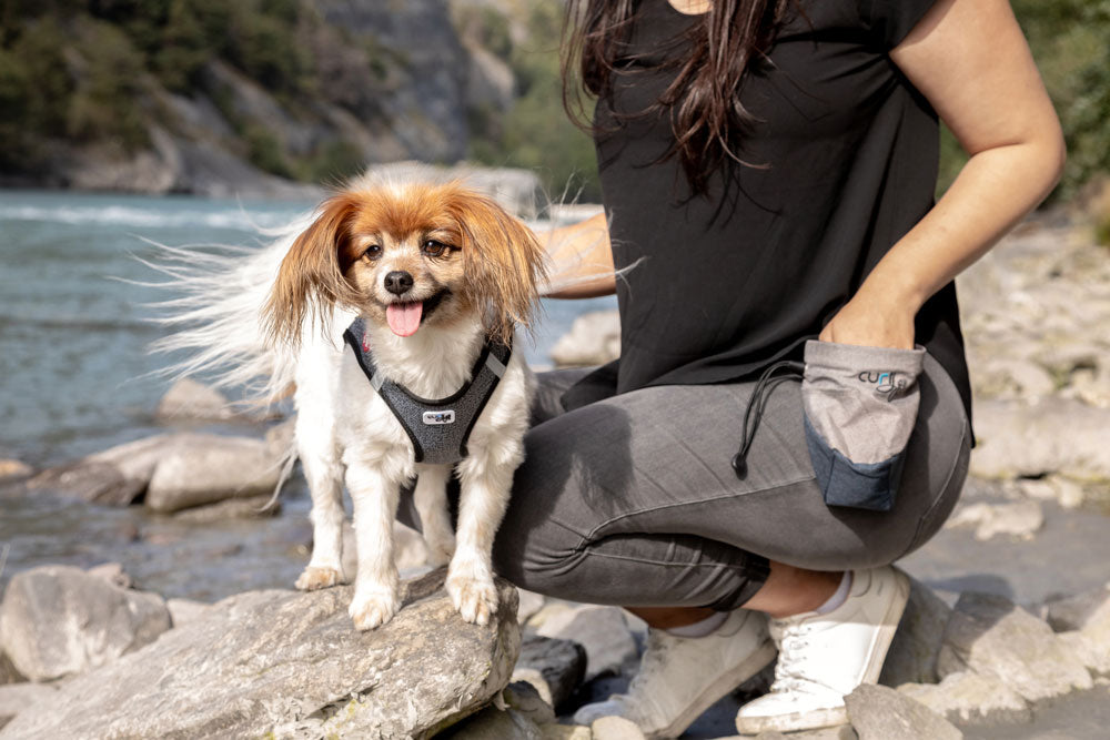 curli Treatbag V2 Everything under control with just one hand - Dog.Dog.Cat.