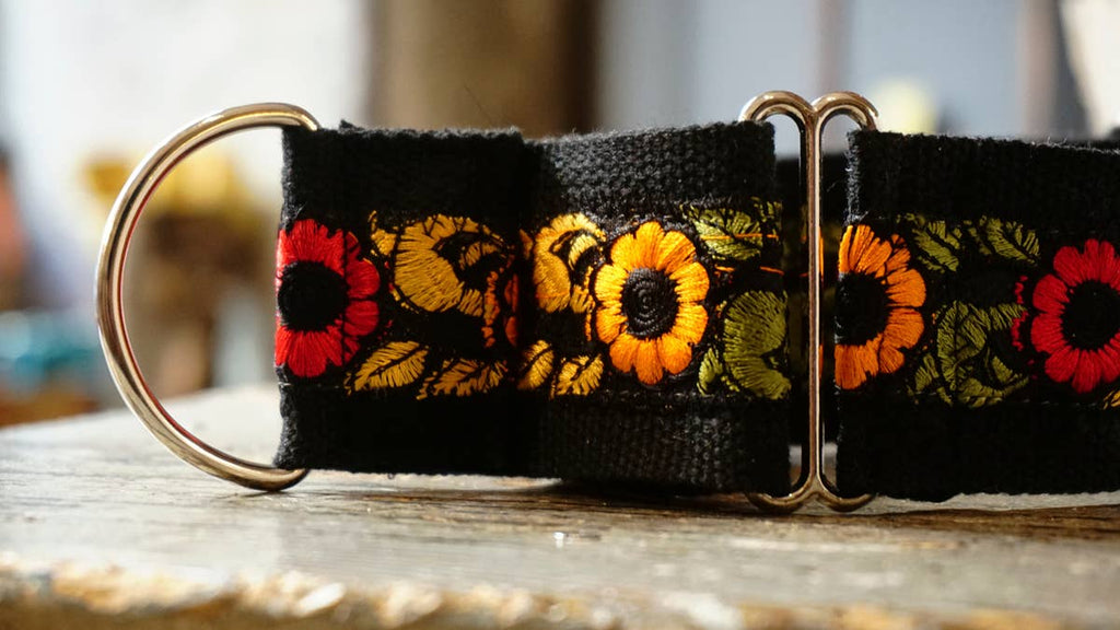 hundsfutter - Wide collar anti escape design - Dog.Dog.Cat.