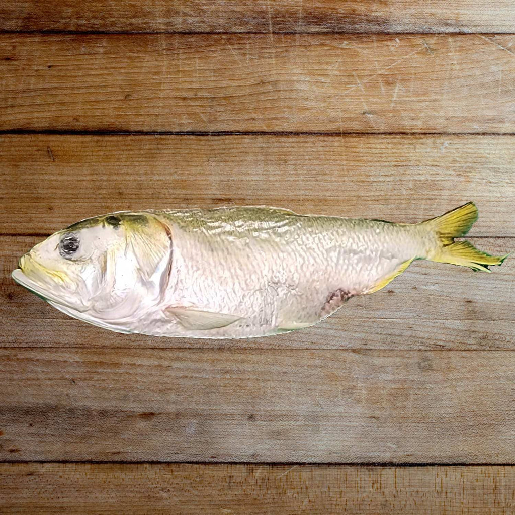 Freeze Dried Dog Treats - Freeze Dried Menhaden Medium (Each) - Dog.Dog.Cat.