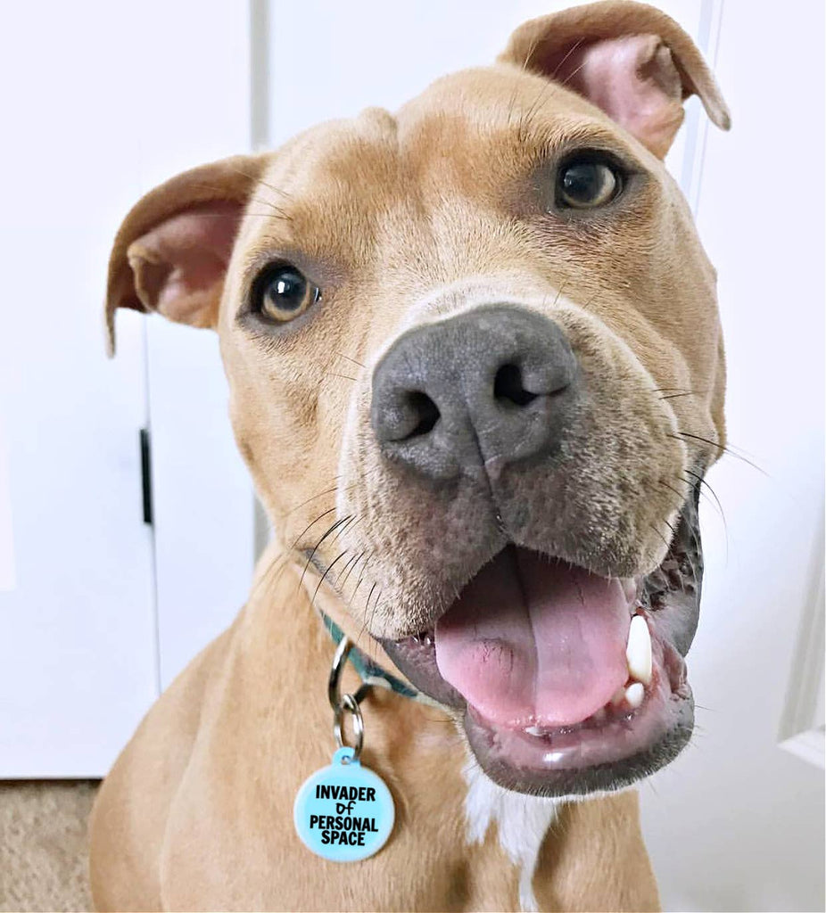 Bad Tags - Funny Personalized Dog ID Tag - Invader Personal Space | Dog ...