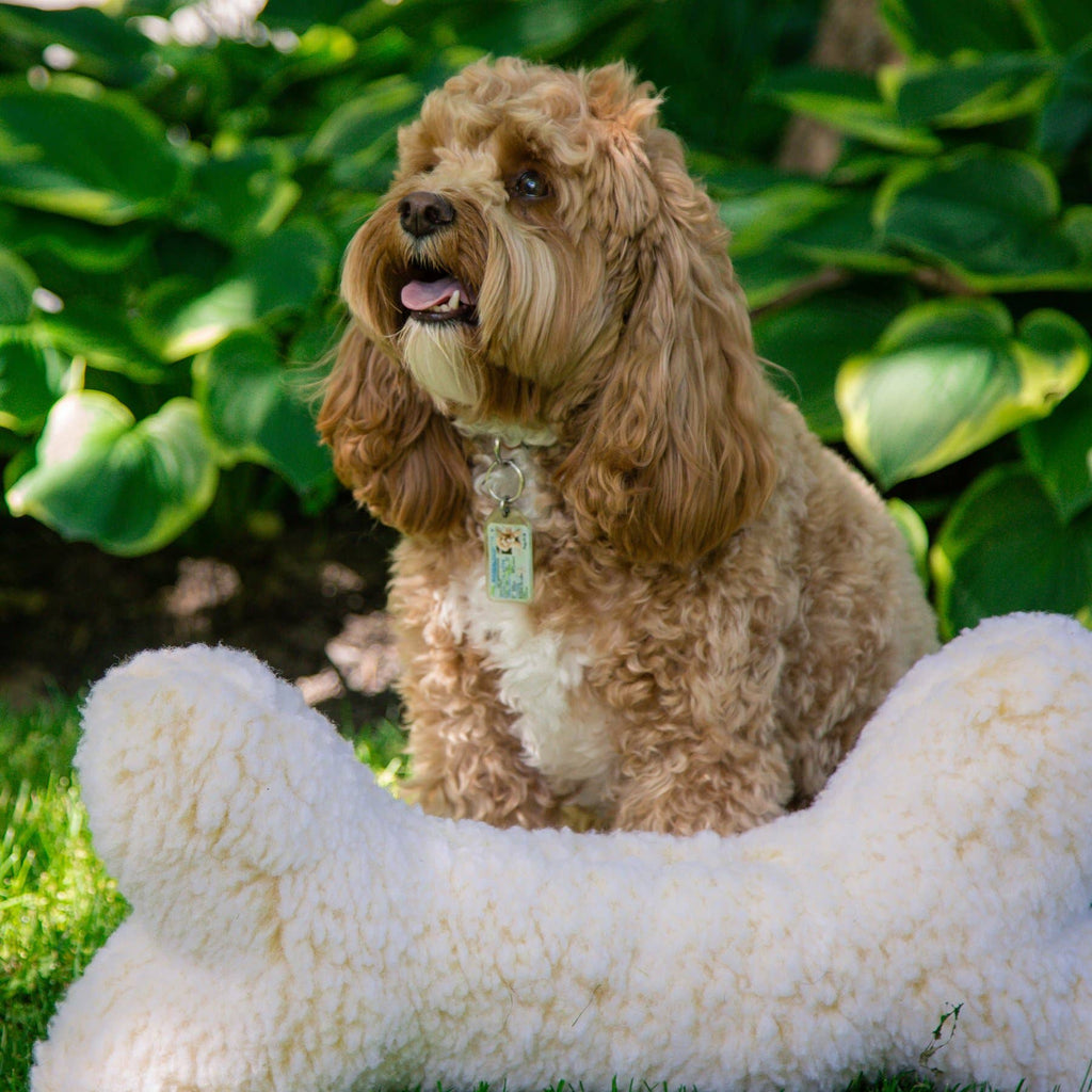 HuggleFleece® 2' Bone Plush Dog Toy - Dog.Dog.Cat.