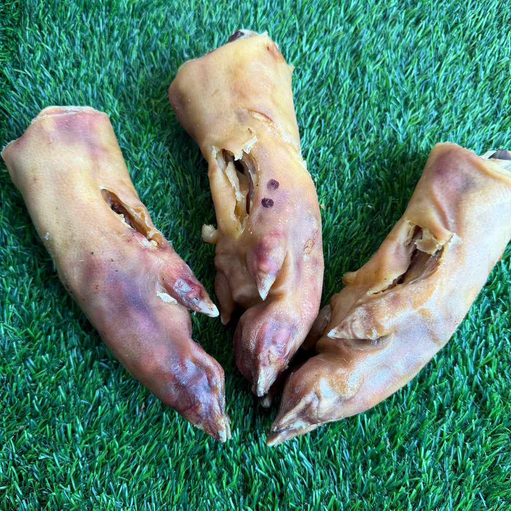 Golden Nibbles - Pork Trotter/Pig Foot - 8-9 in - Long Lasting Chew For Dogs - Dog.Dog.Cat.