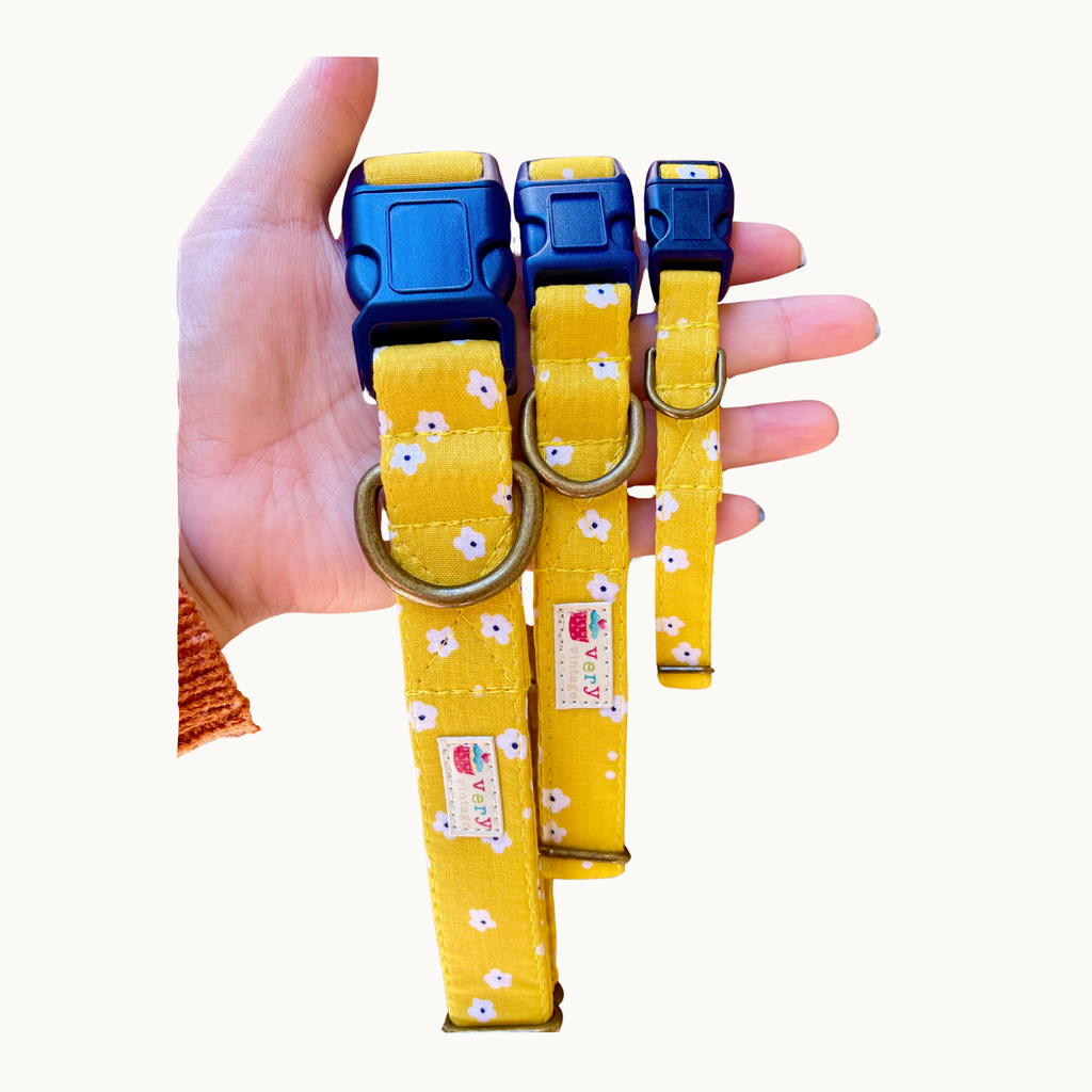 Yellow Dog Collar Floral Print Summer Pet Collar Handmade US - Dog.Dog.Cat.