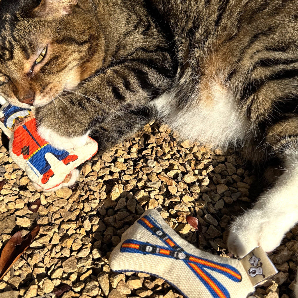 Speckle and Spot by Ore’ Originals - Go Kitty Go Cat Toy Set | Ski Kitty - Dog.Dog.Cat.