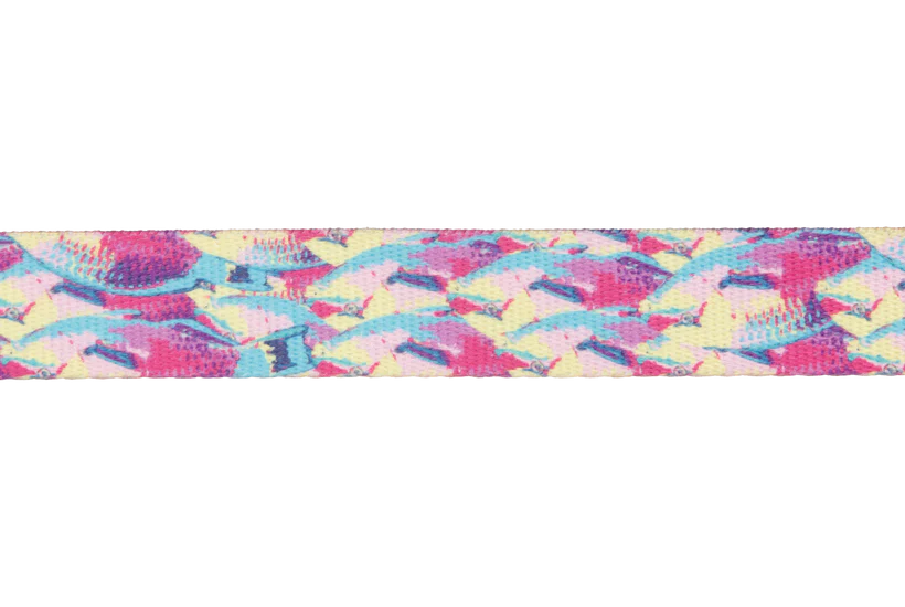 Ruffwear Front Range™ Dog Collar soft, durable webbing - Dog.Dog.Cat.