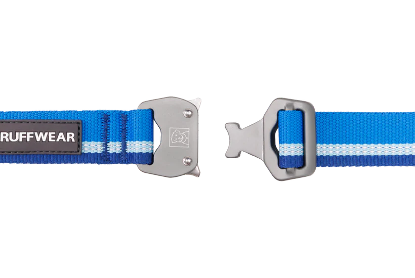 Top Rope™ Metal Buckle Dog Collar strong, reflective, ballasted 2024 - Dog.Dog.Cat.