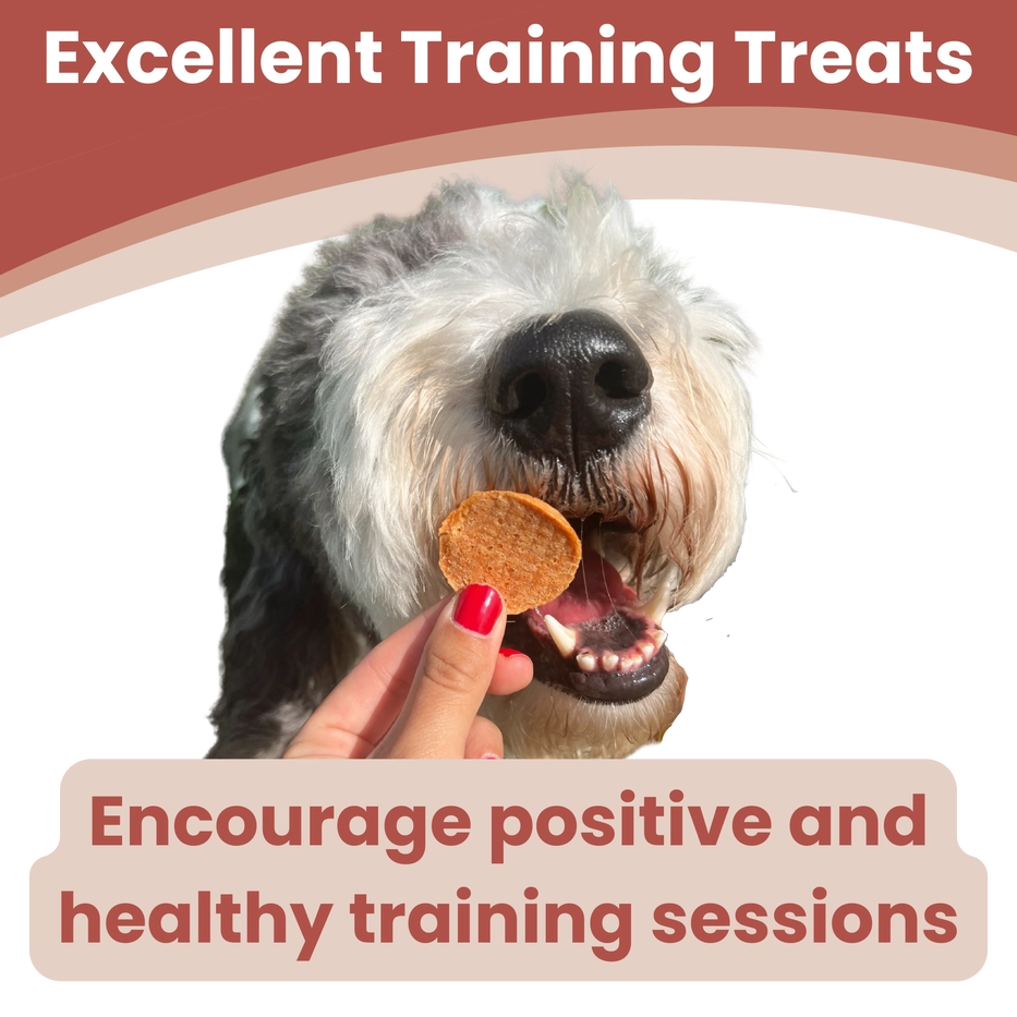 Farm to Pet Chips Trial Bag- Turkey or Chicken : Trial 6 Chip - Dog.Dog.Cat.