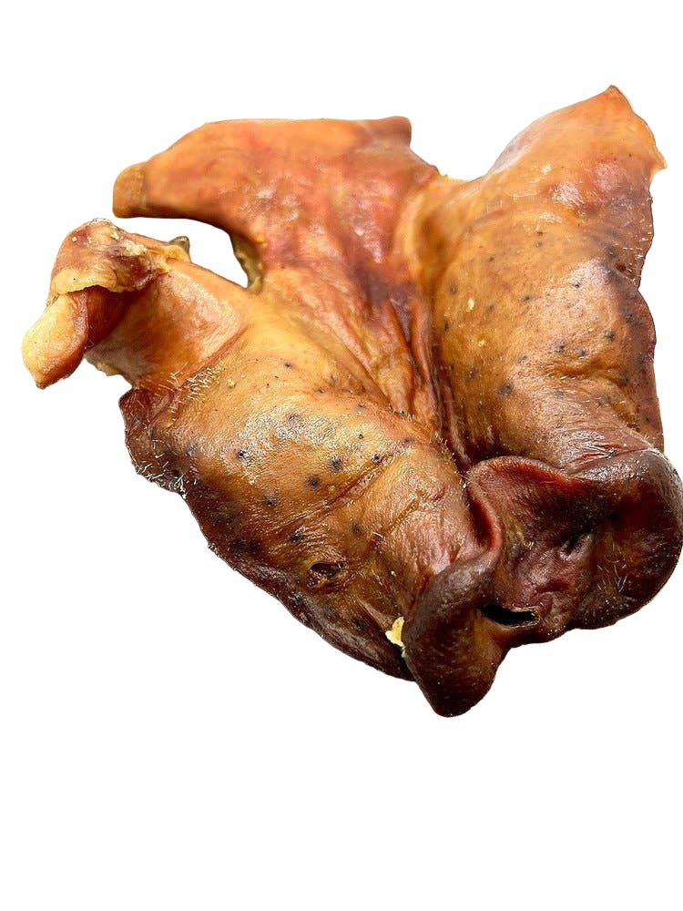 dehydrated pig snout dog treat