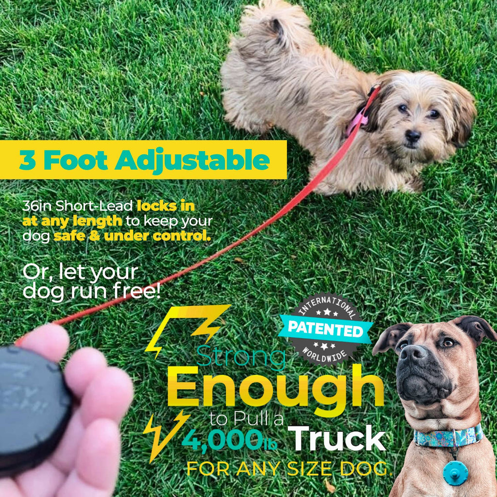 Lazy Leash! - NEW! Lazy Leash! (2pc) Hangers - Pink, Aqua, Gray + Black - Dog.Dog.Cat.