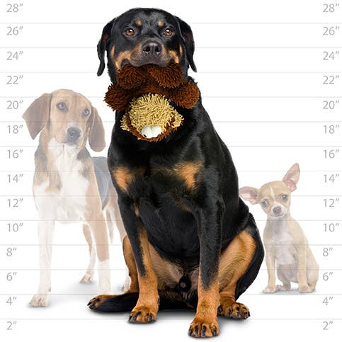 Tuffy Dog Toys - VIP Products - Mighty Microfiber Ball Med Monkey, Durable, Squeaky Dog Toy - Dog.Dog.Cat.