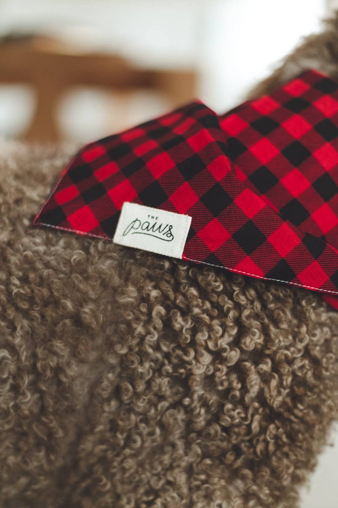 The Paws - Whiskey Dog Bandana - Dog.Dog.Cat.