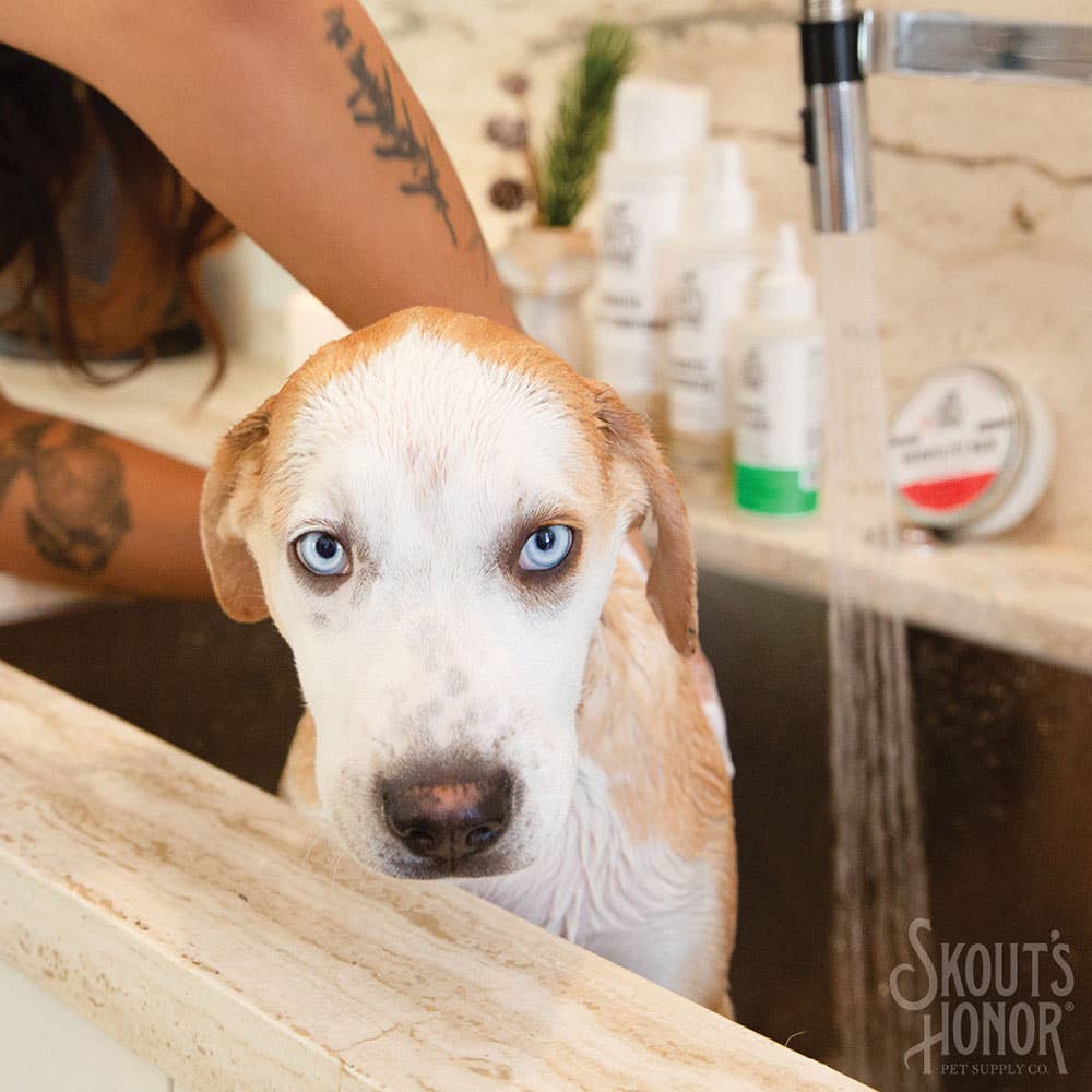 Skout's Honor Probiotic Shampoo+Conditioner Dog of the Woods - Dog.Dog.Cat.