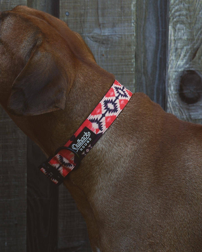 Aztec Dog Collar - Dog.Dog.Cat.