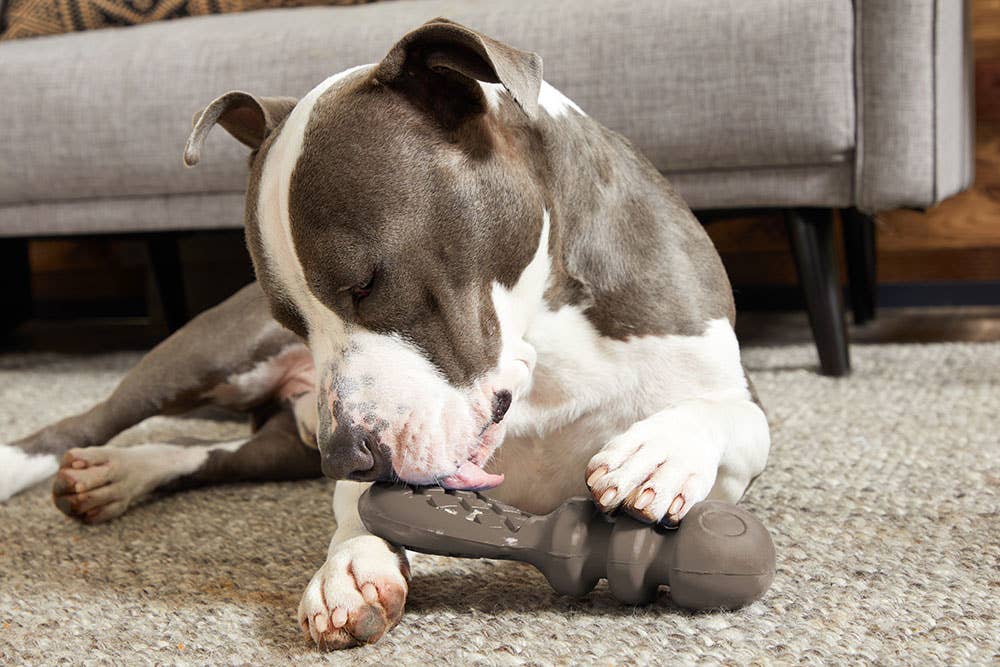 BARK Buck Wild - Dog.Dog.Cat.