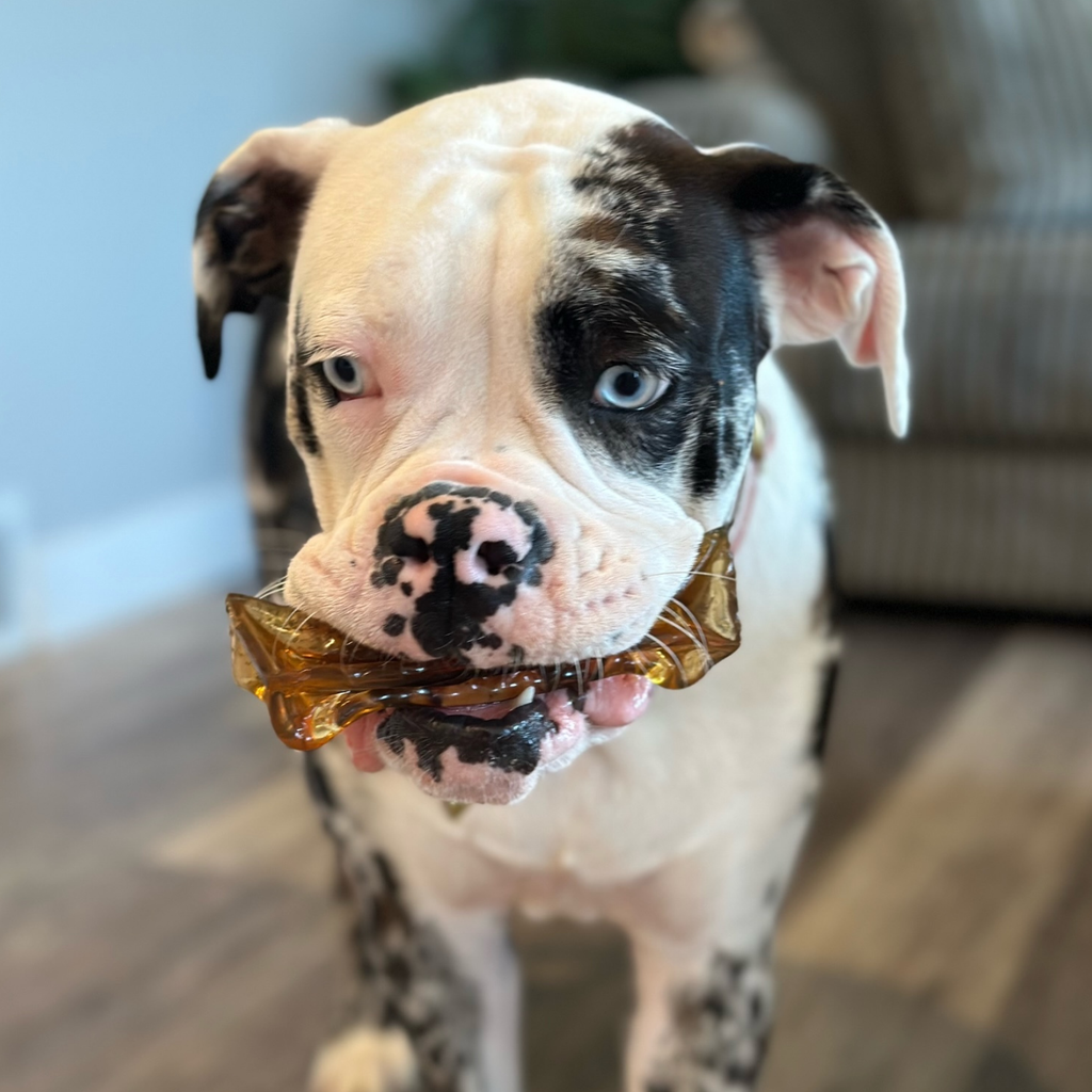 Mighty Marrows Collagen Dental Chew - Bacon - SM/LG - Dog.Dog.Cat.