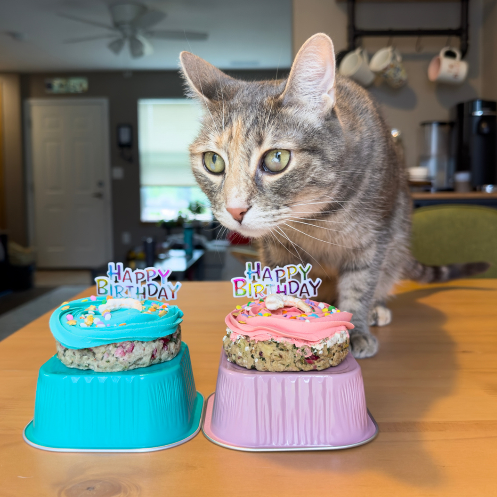 Hey Don't Forget the Cat Treats & Cakes - Dog.Dog.Cat.