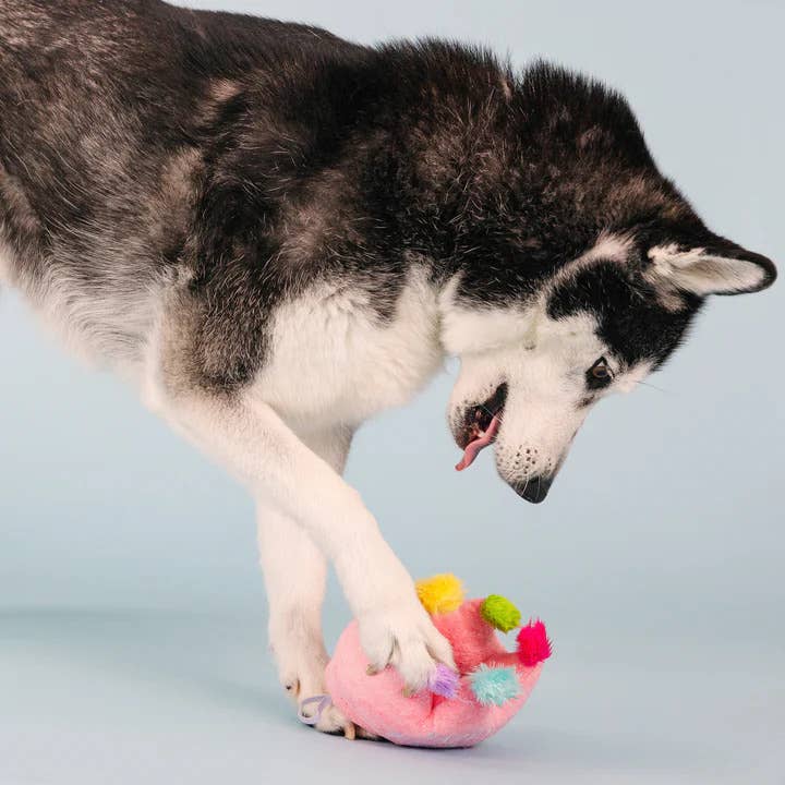 PetShop by Fringe Studio If The Crown Fits Plush Dog Toy - Dog.Dog.Cat.