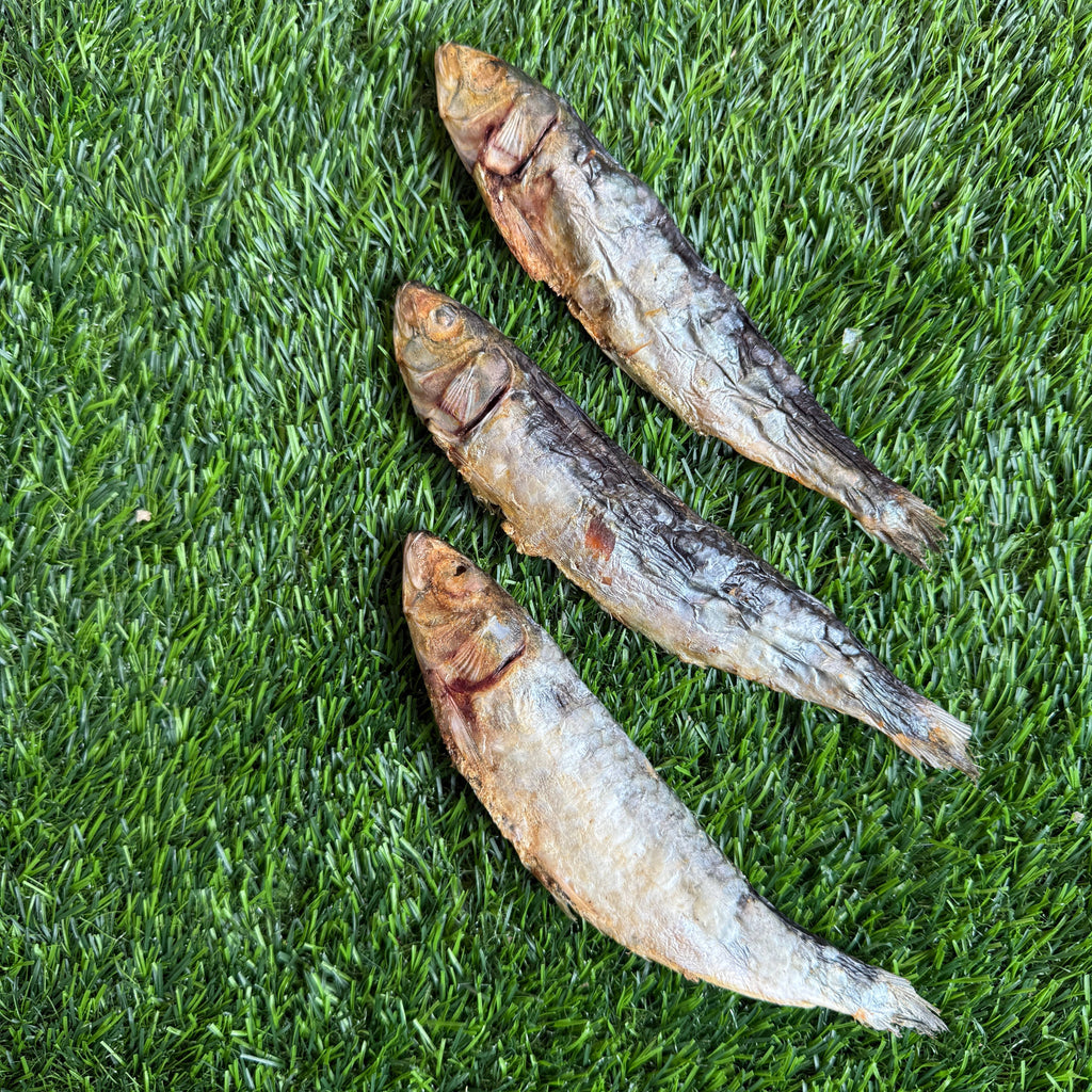 Golden Nibbles - Sardines - 5" to 7" in & Freeze-Dried Treat for Dogs & Cats - Dog.Dog.Cat.